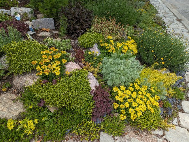 Creative Rock Garden Ideas for Challenging&nbsp;Areas