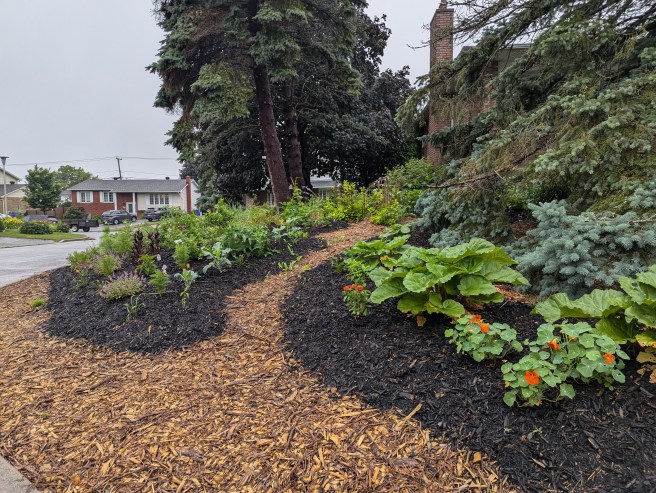 Lawn Alternatives: Create a Sustainable Outdoor&nbsp;Space