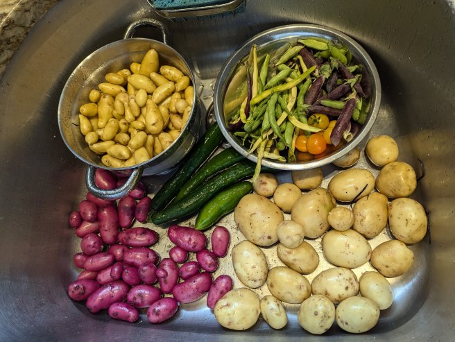 Essential Tips for Designing a Productive Vegetable&nbsp;Garden