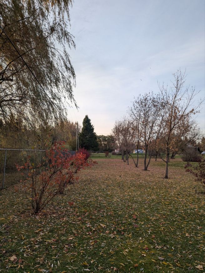 New Home… New Views… New&nbsp;Projects…