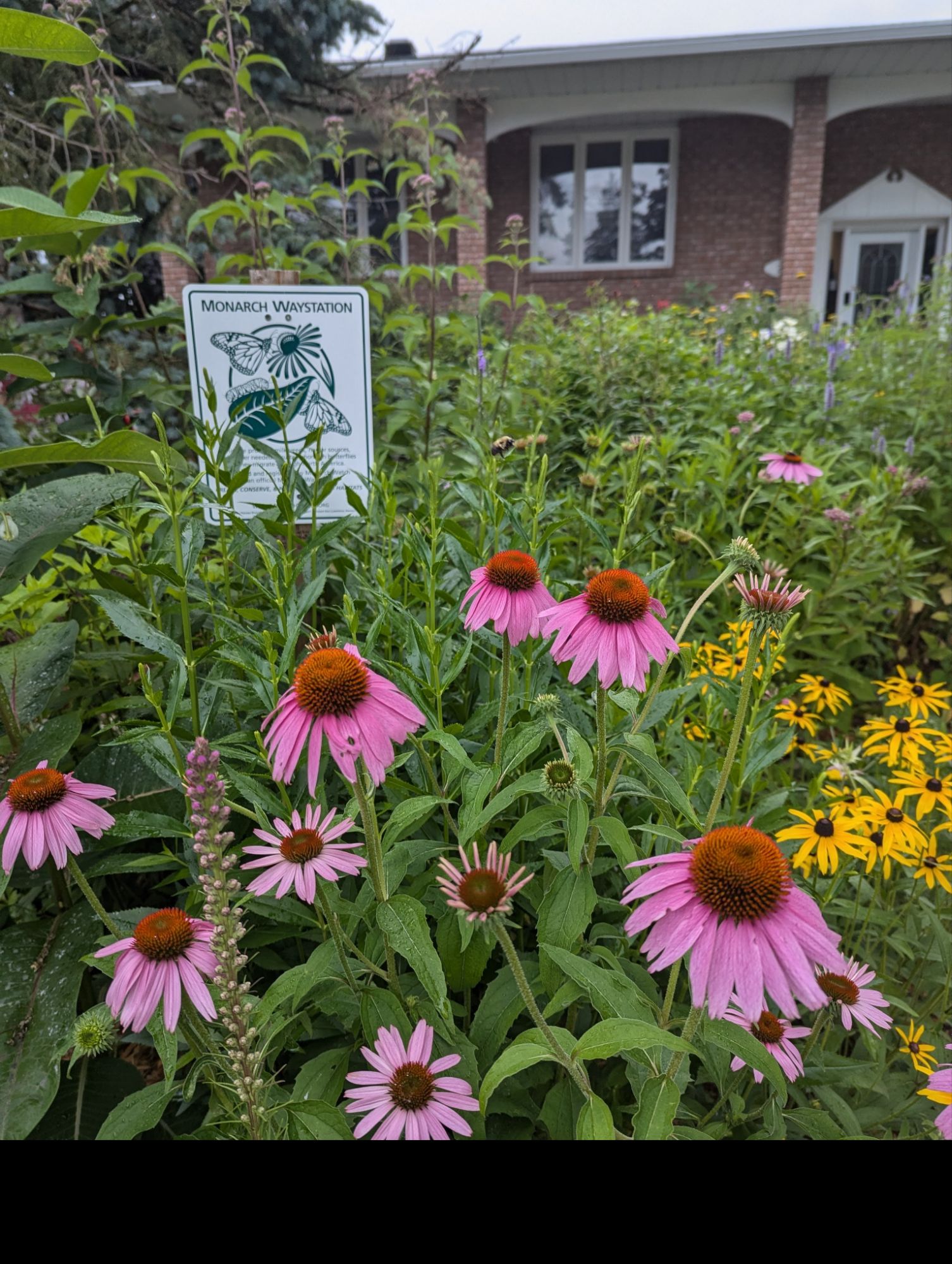 Our seeds, free seeds, shared seeds, and the small seed companies and nurseries we have loved supporting this&nbsp;year