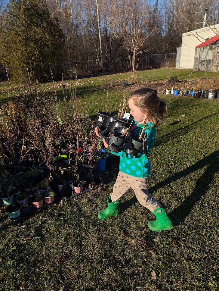 My little helper unloading some plants on moving day last November