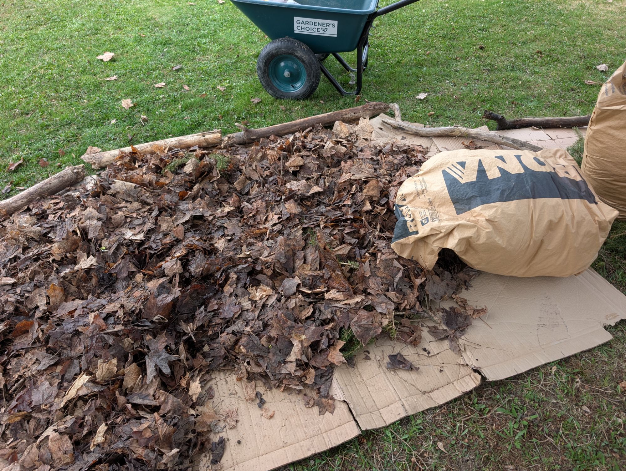 Site prep step 1: Cardboard, wet leaves and leaf bags