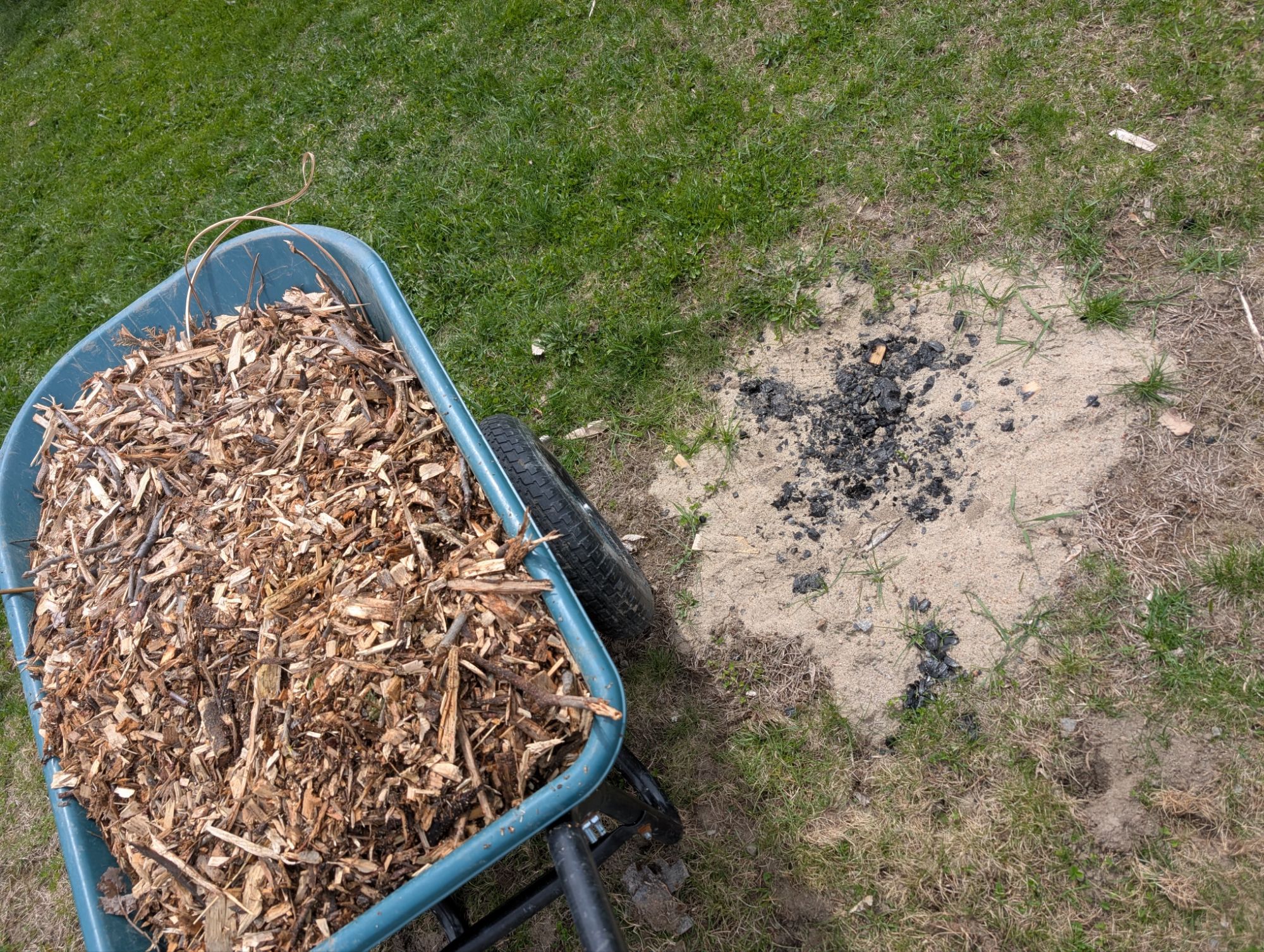 Woodchips and fire-pit ash and charcoal