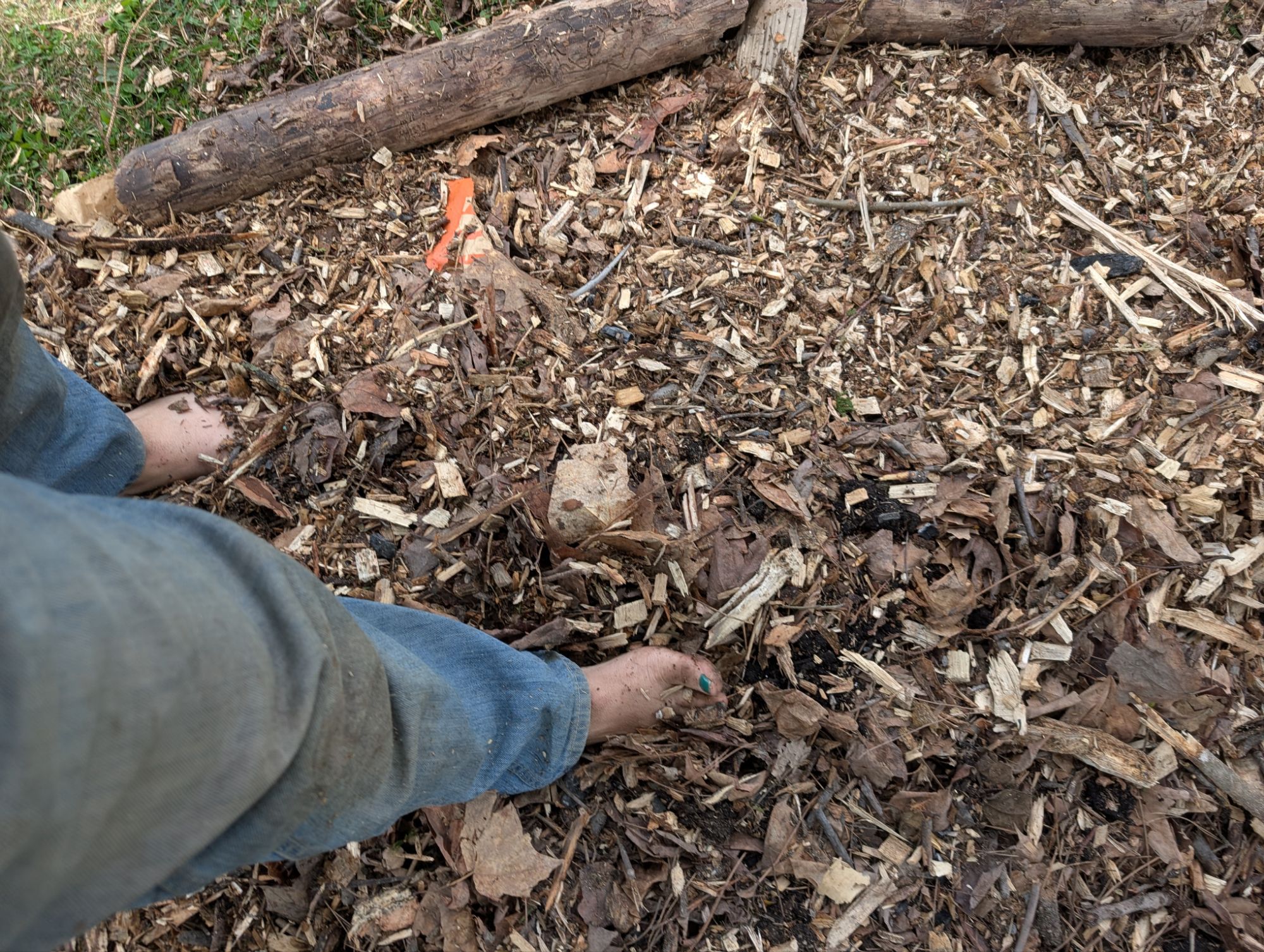 Walked in the area a bit to mix everything together because its easier on my back than raking, and my feet were pretty gross and dirty by this point
