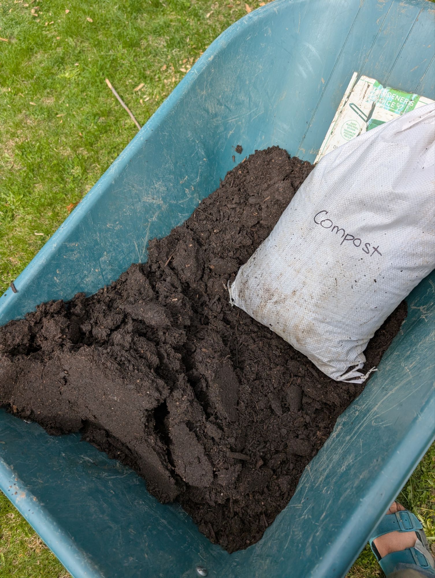 Compost and some soil mix as a nutrient bed under each plant