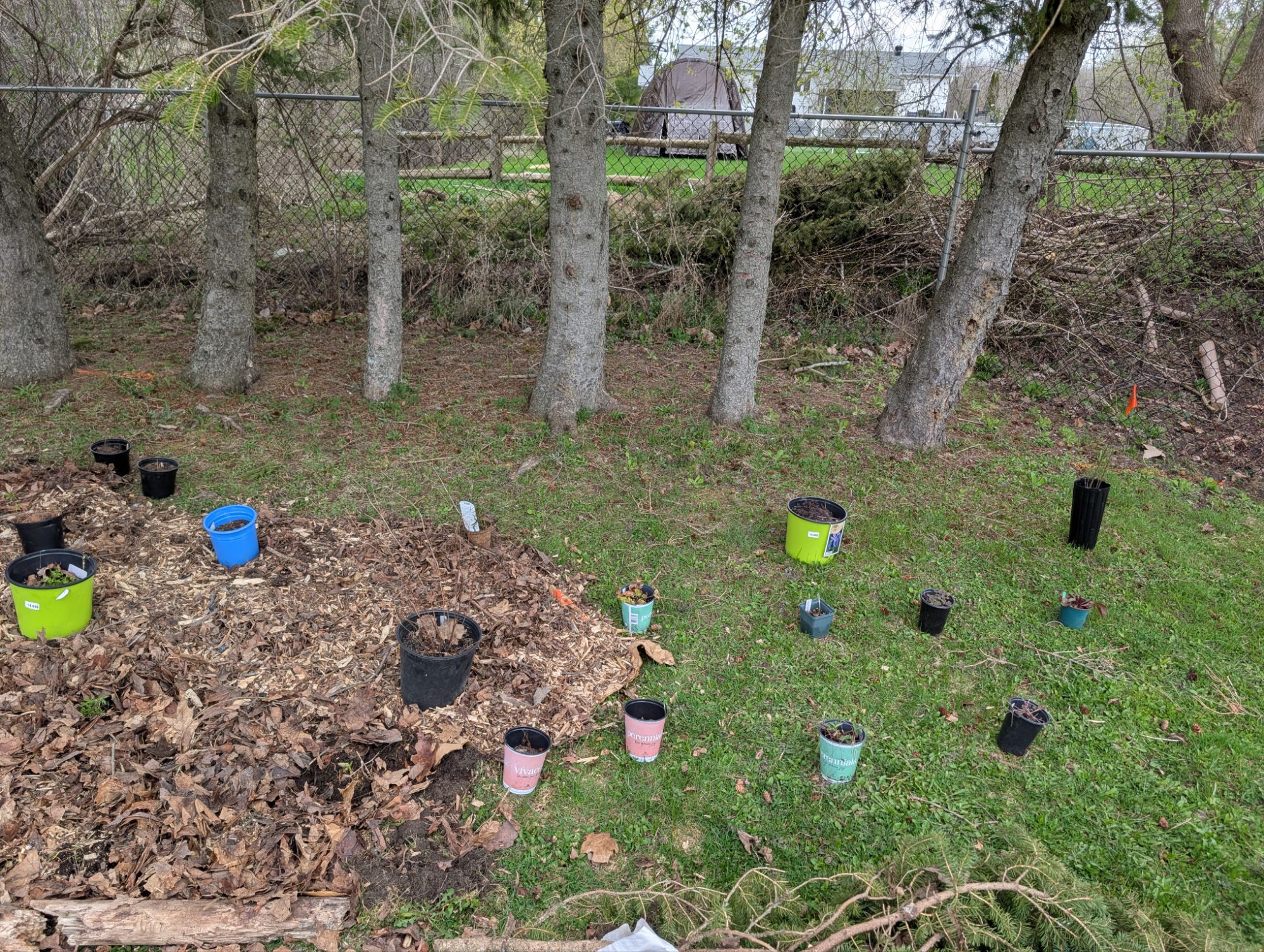 Final placement - oops too many plants