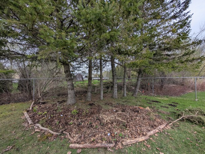 Native shade garden in a&nbsp;day