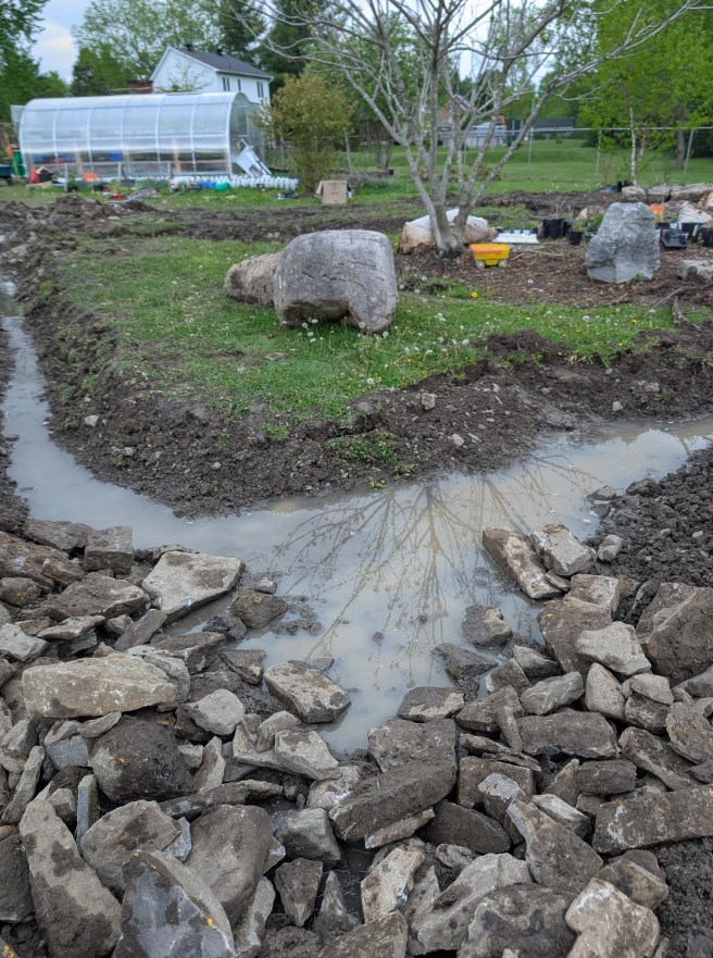 A purpose-built (future) rain&nbsp;garden