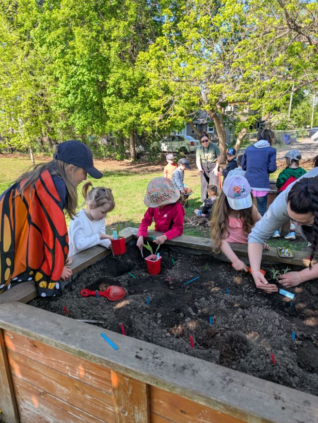 Creating a Butterflyway stop and native pollinator habitat gardens at an elementary&nbsp;school