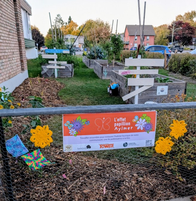 Aylmer Butterflyway Stop #11 – Centre Allimentaire&nbsp;Aylmer