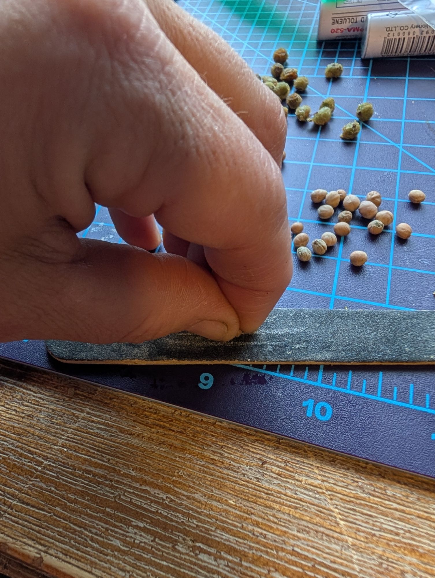 Winter Sowing Adventures of (Almost Nursery)&nbsp;Scale