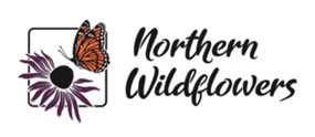 Northern Wildflowers