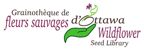 Ottawa Wildflower Seed Library