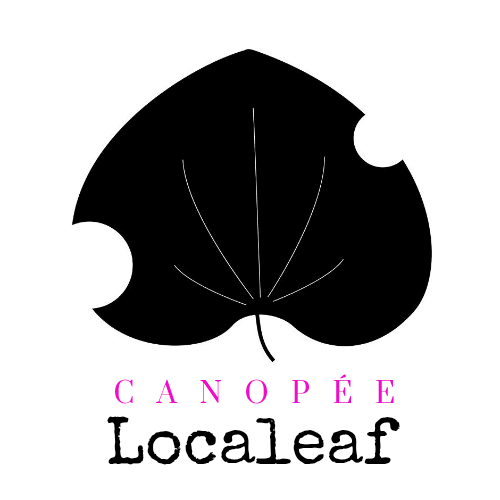 BIG NEWS! We did a thing & registered an official&nbsp;non-profit!