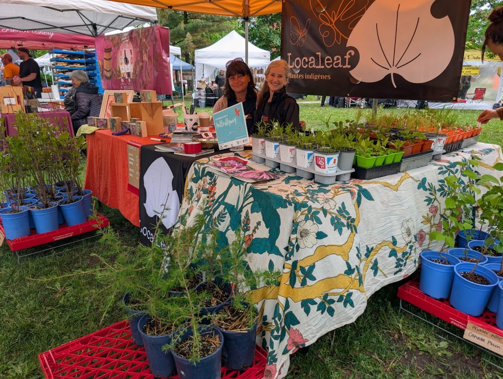 The Highs, the Lows, and the Orange Tent: Our Market Debut
